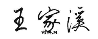 骆恒光王家溪行书个性签名怎么写
