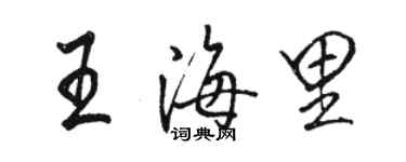骆恒光王海里行书个性签名怎么写