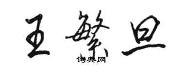 骆恒光王繁旦行书个性签名怎么写