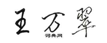 骆恒光王万翠行书个性签名怎么写