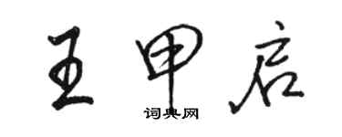 骆恒光王甲启行书个性签名怎么写