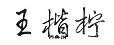 骆恒光王楷柠行书个性签名怎么写