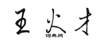 骆恒光王火才行书个性签名怎么写