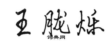 骆恒光王胧烁行书个性签名怎么写