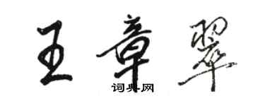 骆恒光王章翠行书个性签名怎么写