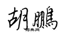 王正良胡鹏行书个性签名怎么写