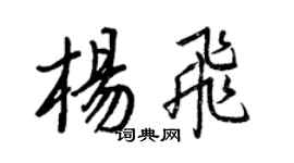 王正良杨飞行书个性签名怎么写