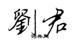 王正良刘君行书个性签名怎么写
