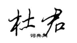 王正良杜君行书个性签名怎么写