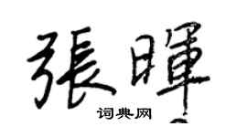王正良张晖行书个性签名怎么写