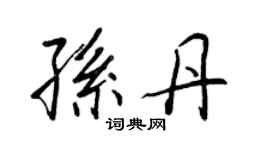 王正良孙丹行书个性签名怎么写