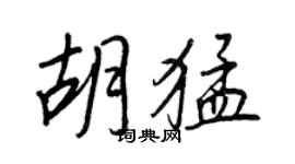 王正良胡猛行书个性签名怎么写