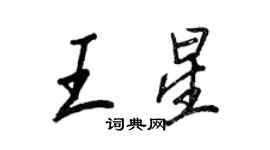 王正良王星行书个性签名怎么写