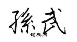 王正良孙武行书个性签名怎么写