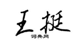 王正良王挺行书个性签名怎么写