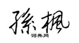 王正良孙枫行书个性签名怎么写