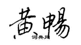 王正良黄畅行书个性签名怎么写
