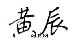 王正良黄辰行书个性签名怎么写