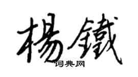 王正良杨铁行书个性签名怎么写