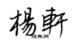 王正良杨轩行书个性签名怎么写