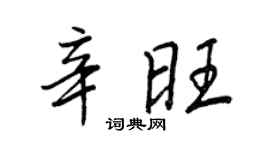 王正良辛旺行书个性签名怎么写