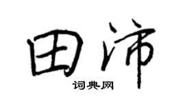 王正良田沛行书个性签名怎么写