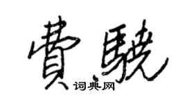 王正良费骁行书个性签名怎么写