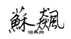 王正良苏飚行书个性签名怎么写