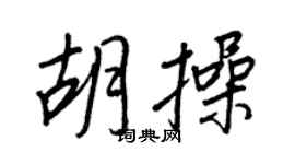 王正良胡操行书个性签名怎么写