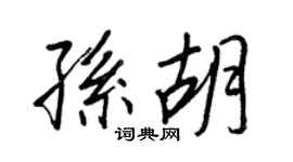 王正良孙胡行书个性签名怎么写