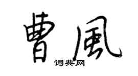 王正良曹风行书个性签名怎么写