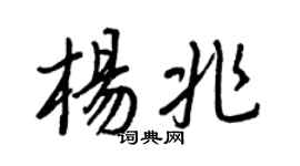 王正良杨兆行书个性签名怎么写