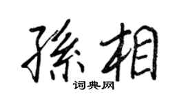 王正良孙相行书个性签名怎么写