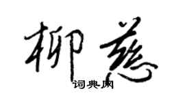 王正良柳慈行书个性签名怎么写
