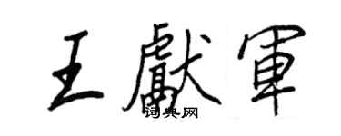 王正良王献军行书个性签名怎么写