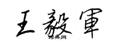 王正良王毅军行书个性签名怎么写