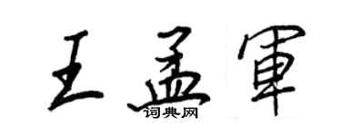 王正良王孟军行书个性签名怎么写