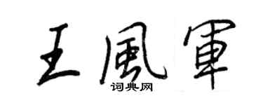 王正良王风军行书个性签名怎么写