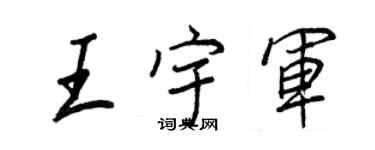王正良王宇军行书个性签名怎么写