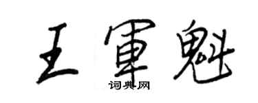王正良王军魁行书个性签名怎么写