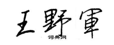 王正良王野军行书个性签名怎么写