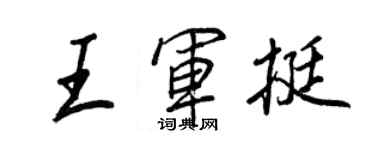 王正良王军挺行书个性签名怎么写