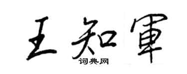 王正良王知军行书个性签名怎么写