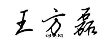 王正良王方磊行书个性签名怎么写
