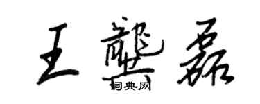 王正良王龚磊行书个性签名怎么写