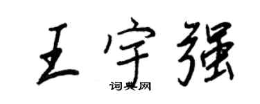 王正良王宇强行书个性签名怎么写