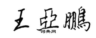 王正良王亚鹏行书个性签名怎么写