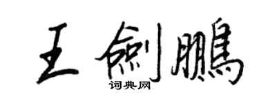 王正良王剑鹏行书个性签名怎么写