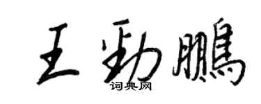 王正良王劲鹏行书个性签名怎么写