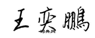 王正良王奕鹏行书个性签名怎么写